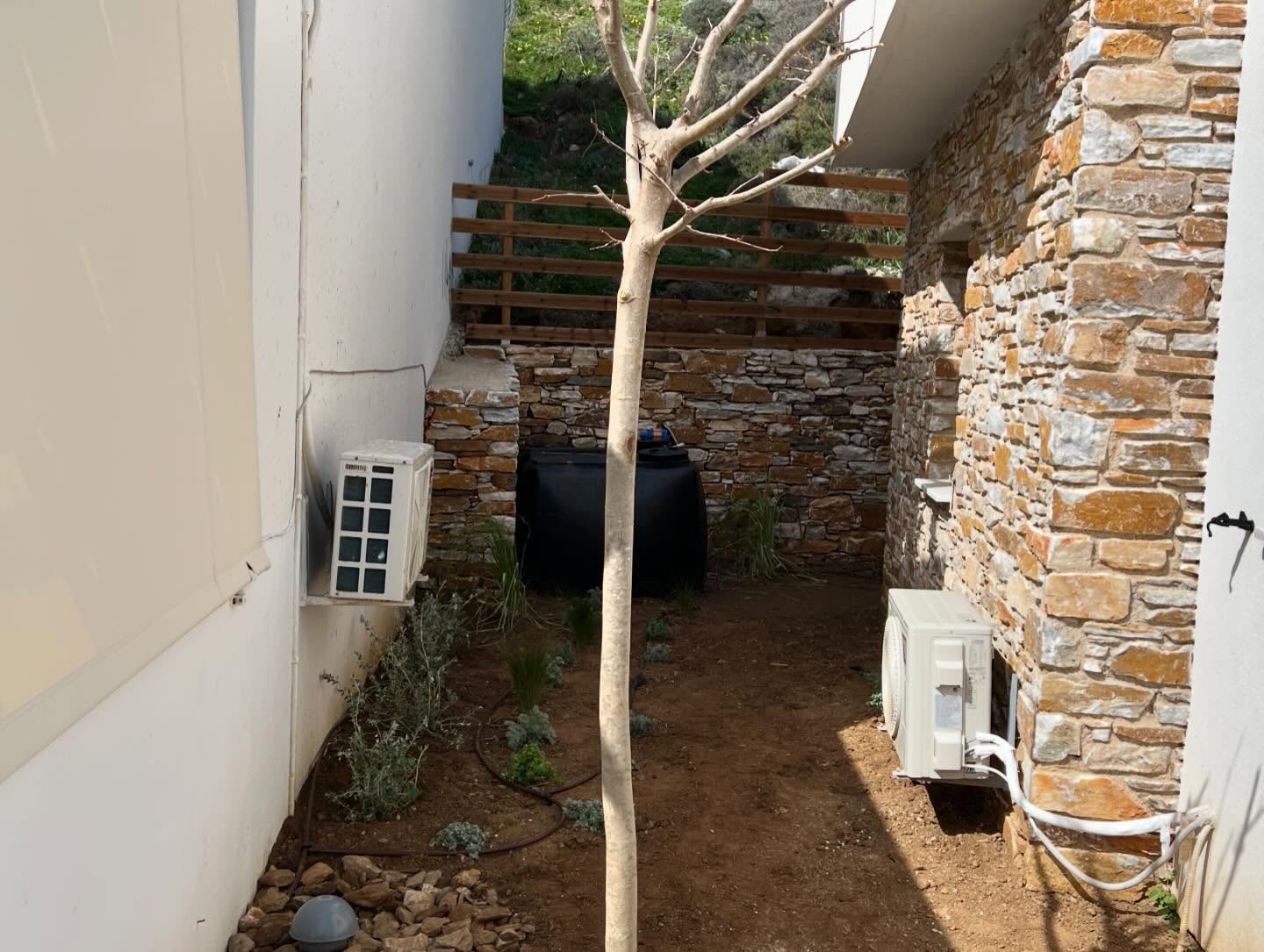 Εγκατάσταση Χλοοτάπητα σε Παραθαλάσσιο Κτήμα