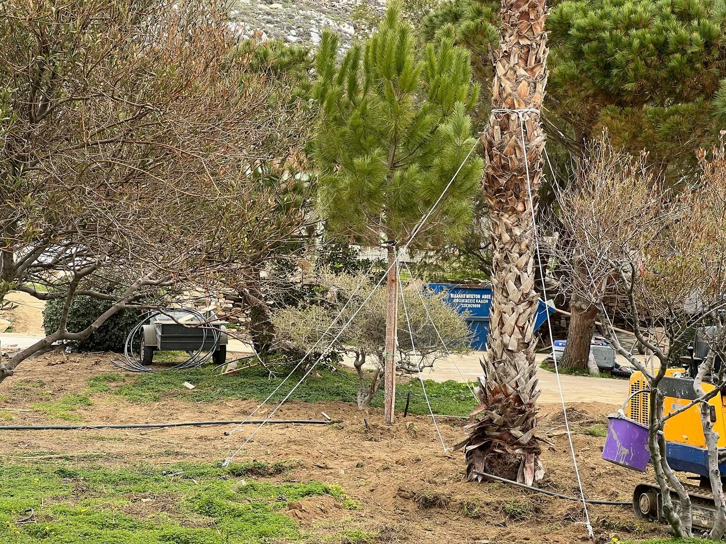 Εγκατάσταση Χλοοτάπητα σε Παραθαλάσσιο Κτήμα