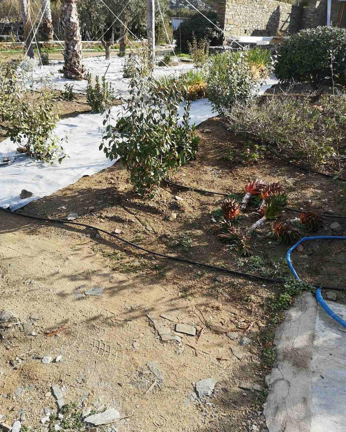 Εγκατάσταση Χλοοτάπητα σε Παραθαλάσσιο Κτήμα