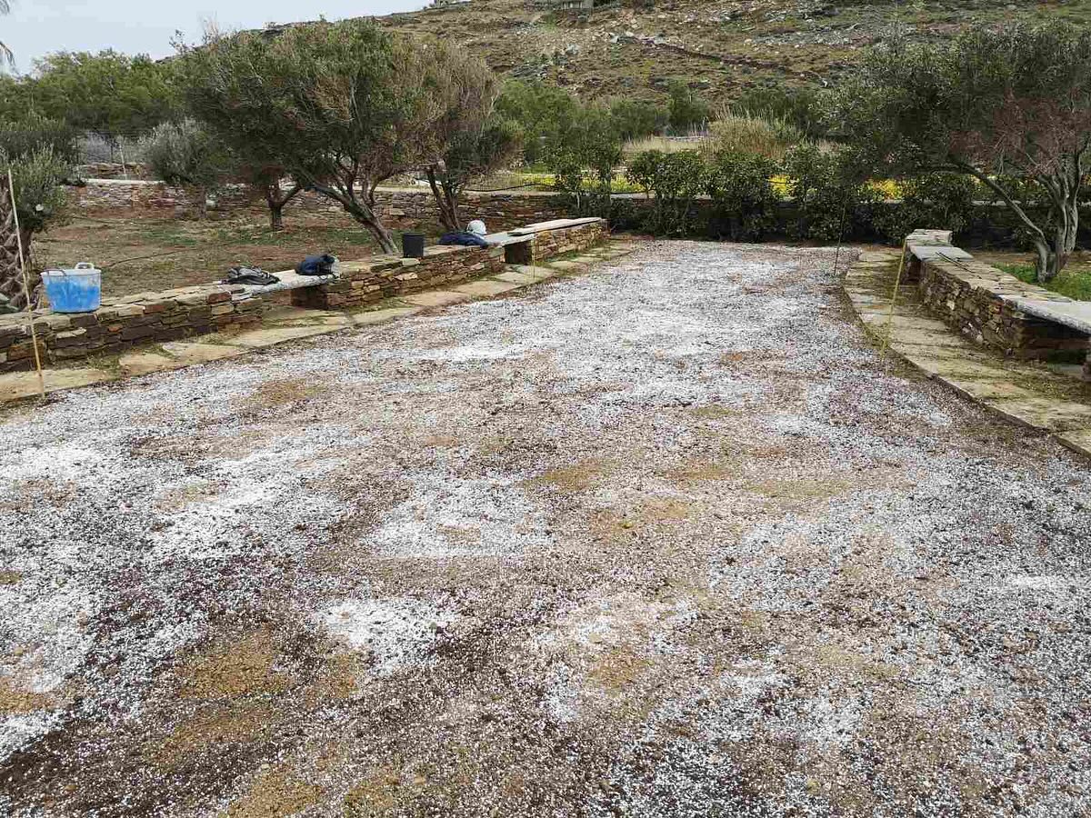 Εγκατάσταση Χλοοτάπητα σε Παραθαλάσσιο Κτήμα