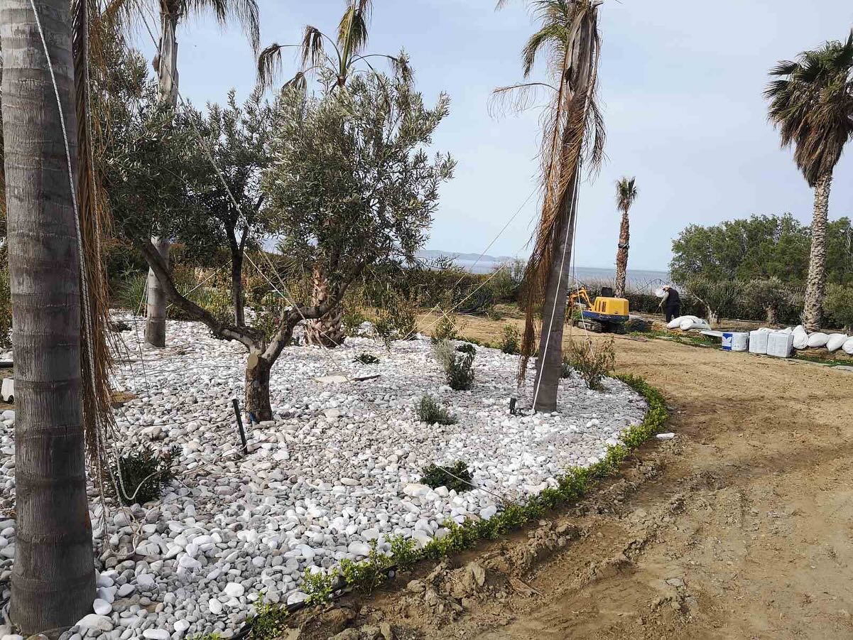 Εγκατάσταση Χλοοτάπητα σε Παραθαλάσσιο Κτήμα