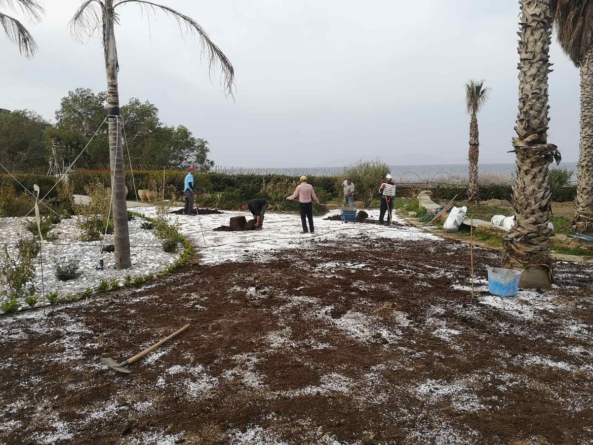 Εγκατάσταση Χλοοτάπητα σε Παραθαλάσσιο Κτήμα