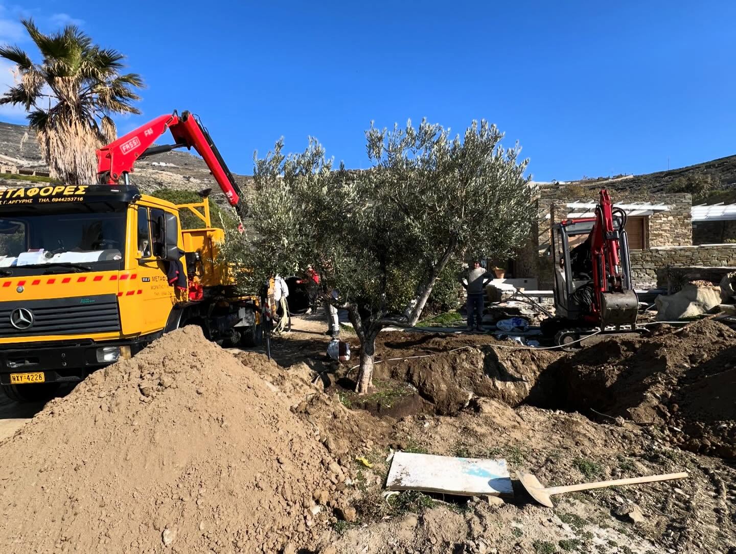Εγκατάσταση Χλοοτάπητα σε Παραθαλάσσιο Κτήμα