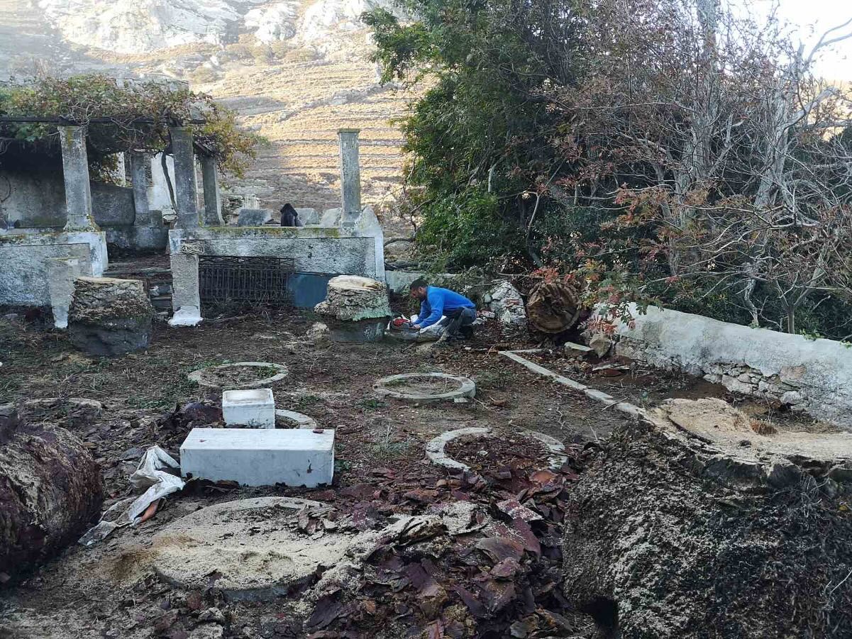 Κλάδεμα &amp; Κοπή Φοινίκων