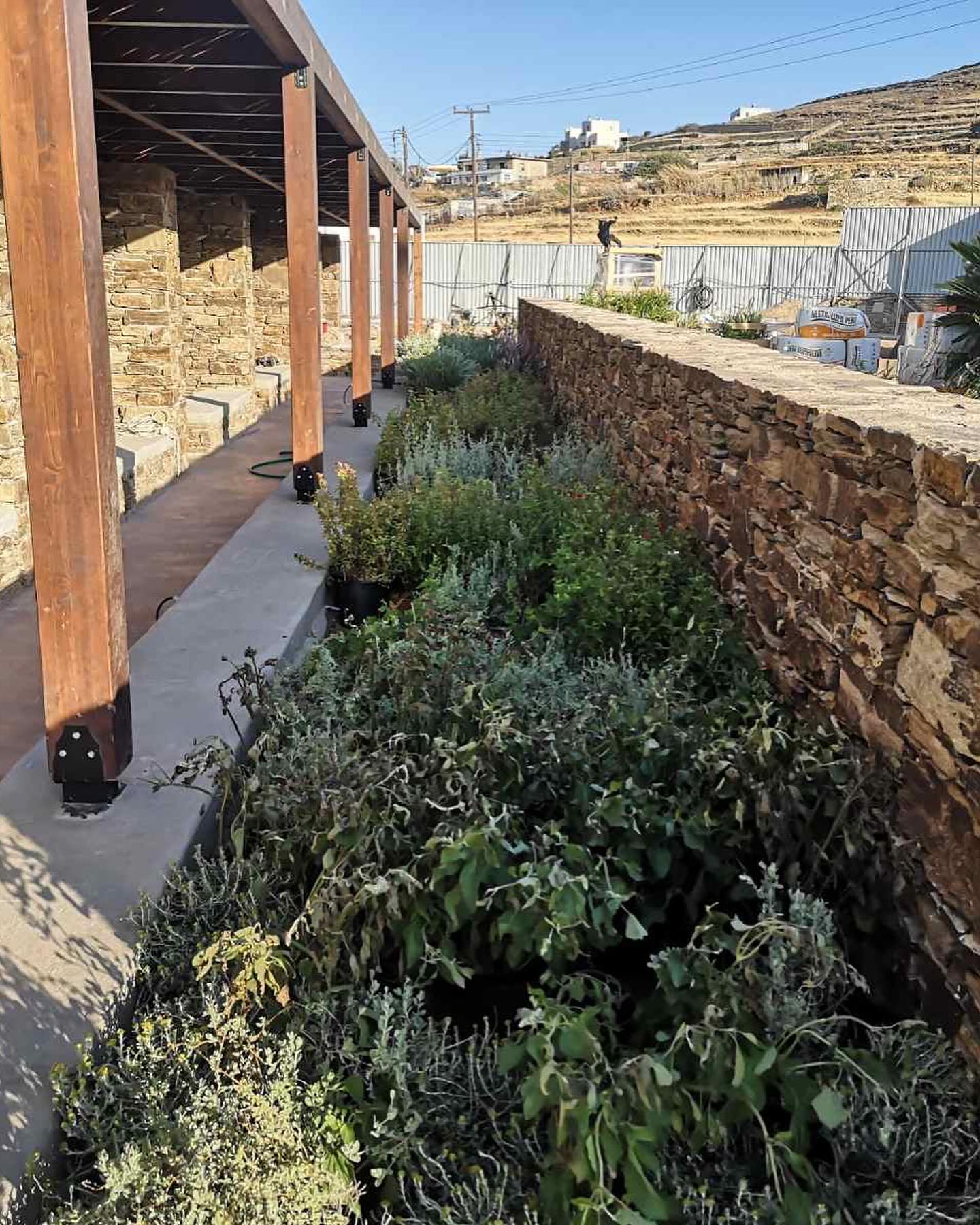 Φυσικό Πλακόστρωτο με Αρωματικά Φυτά
