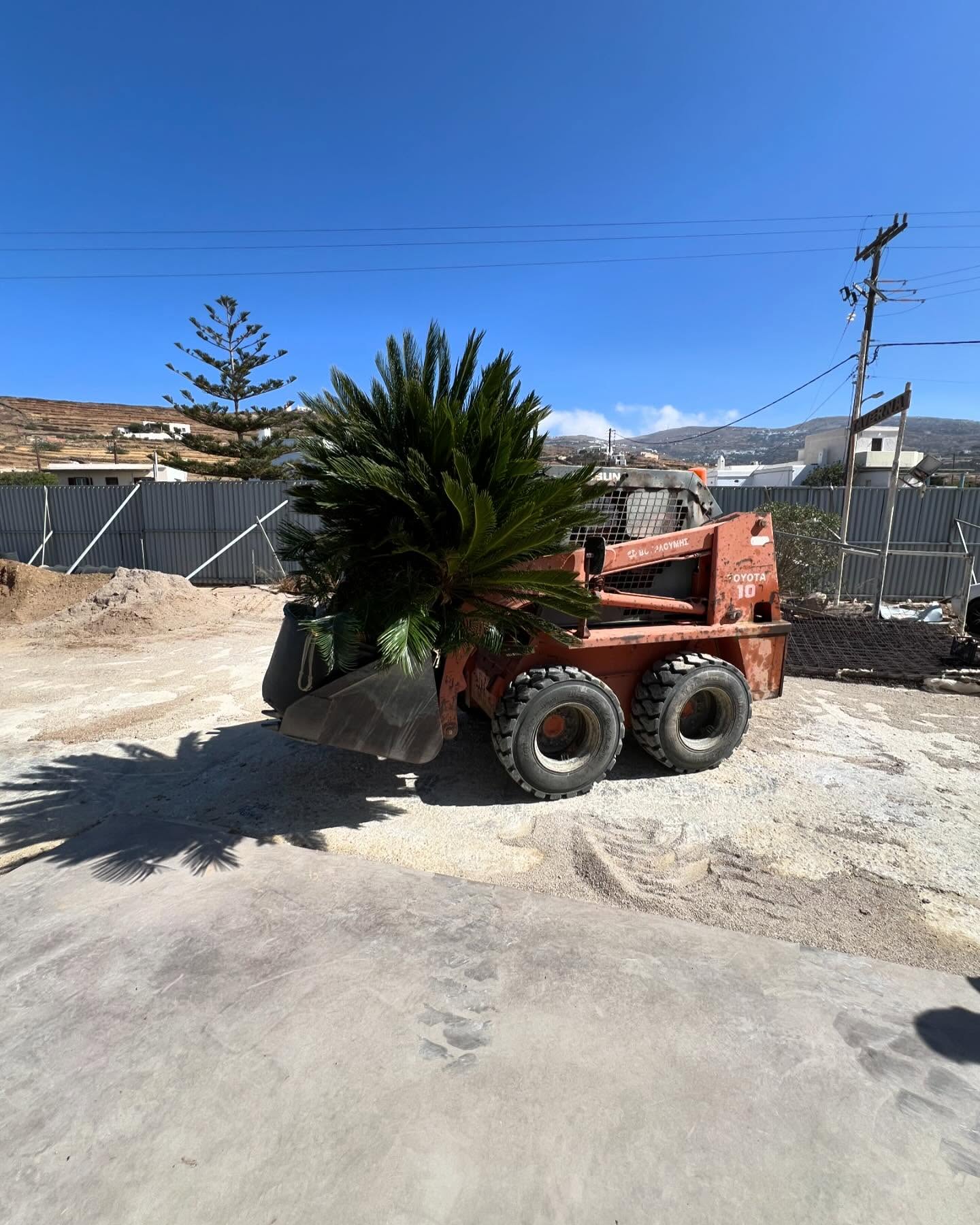 Φυσικό Πλακόστρωτο με Αρωματικά Φυτά