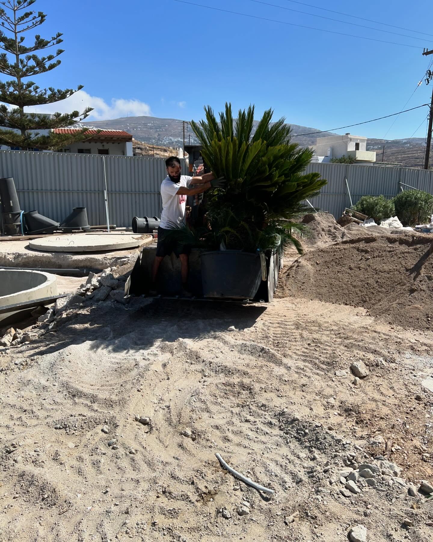 Φυσικό Πλακόστρωτο με Αρωματικά Φυτά