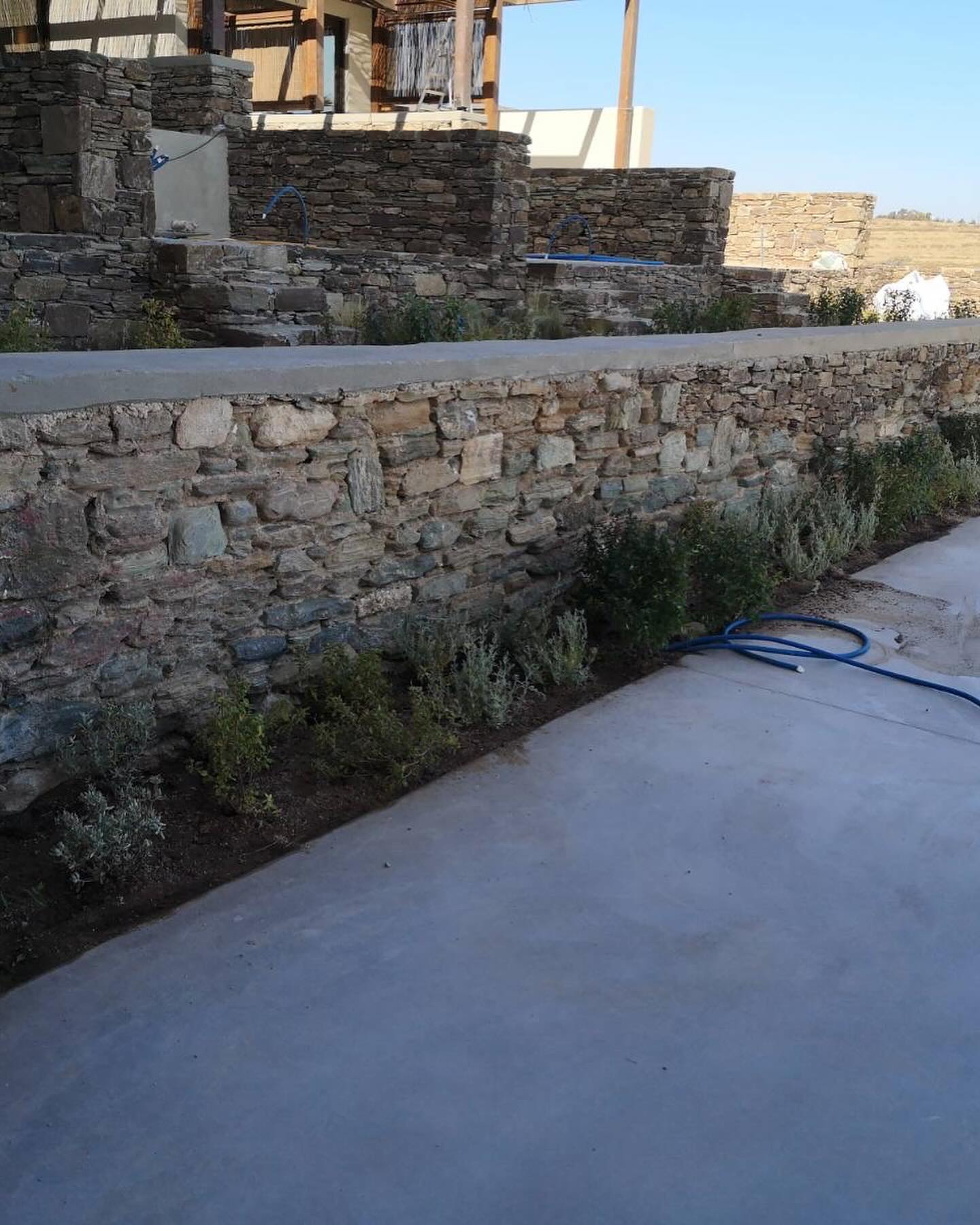 Φυσικό Πλακόστρωτο με Αρωματικά Φυτά