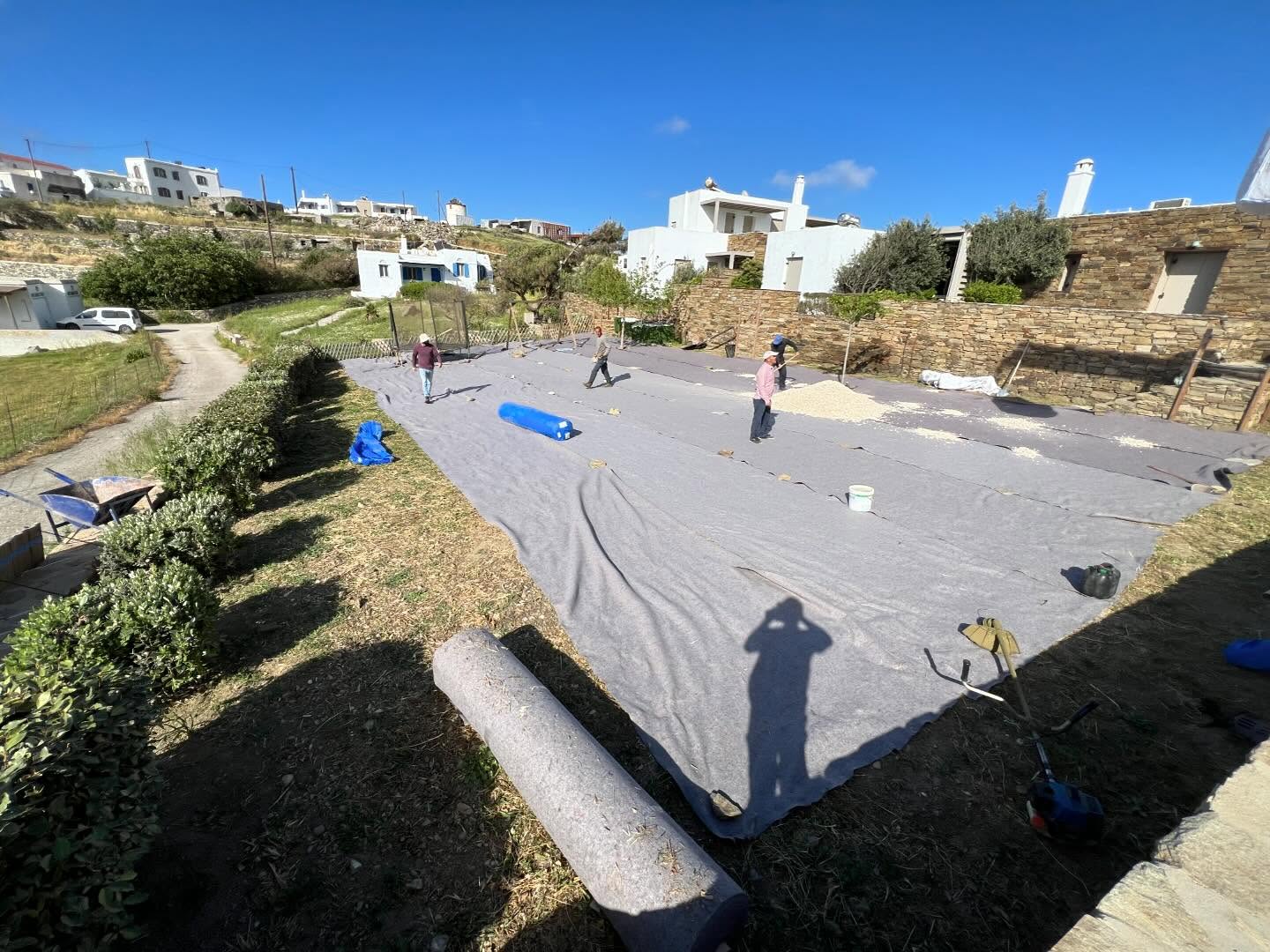 Καταπράσινος Διάδρομος με Λεβάντα