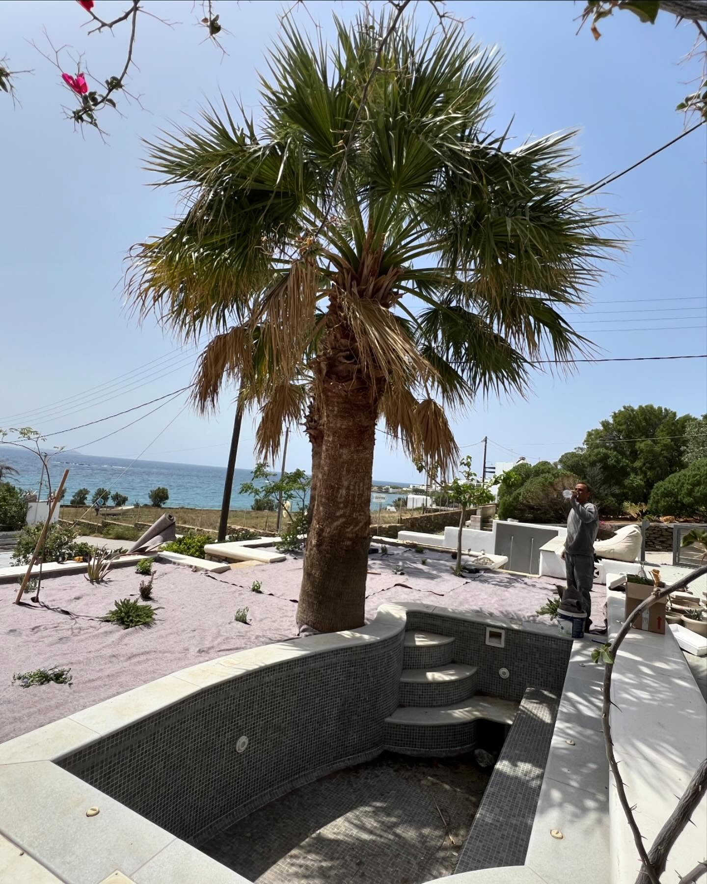 Καταπράσινος Διάδρομος με Λεβάντα