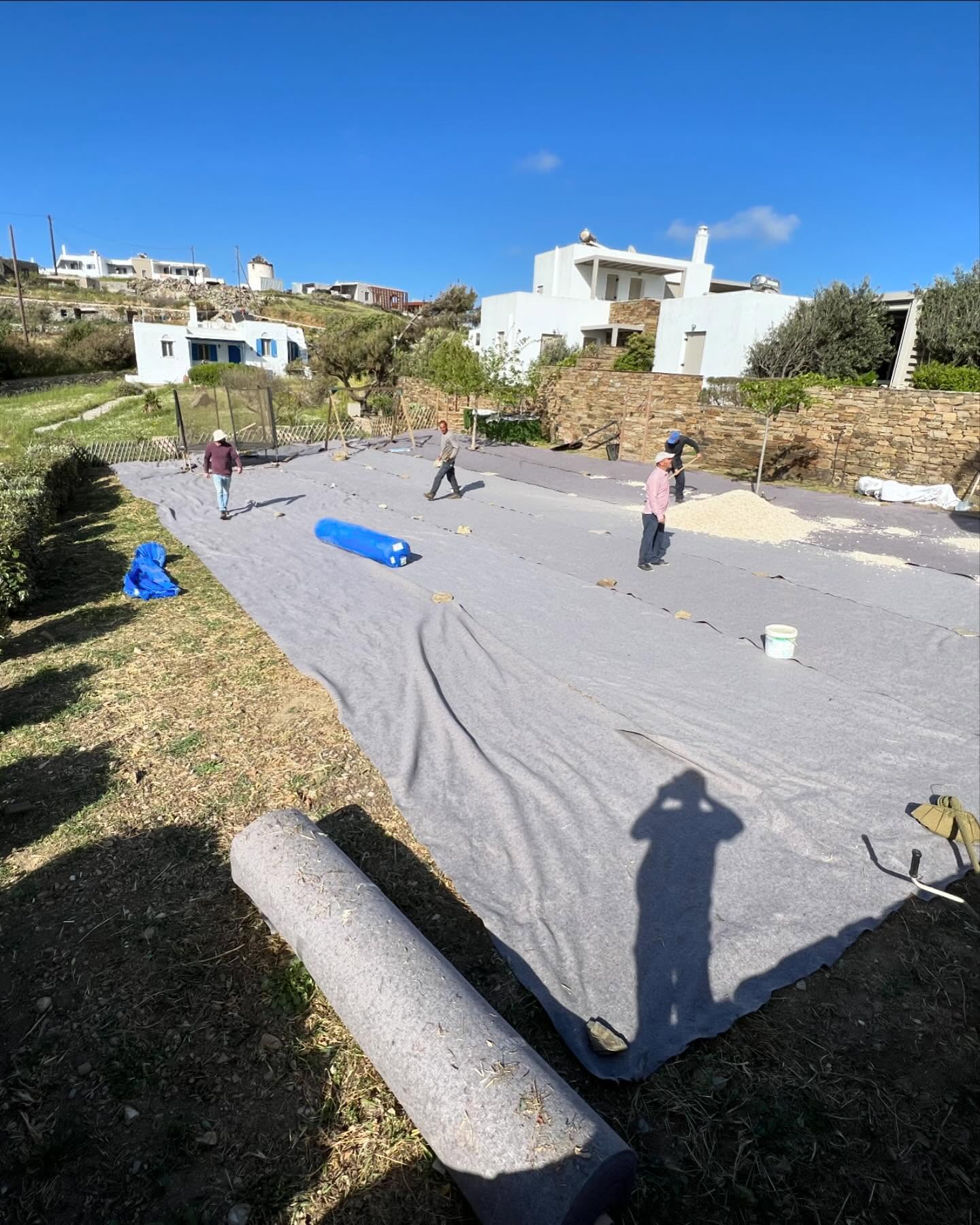Καταπράσινος Διάδρομος με Λεβάντα
