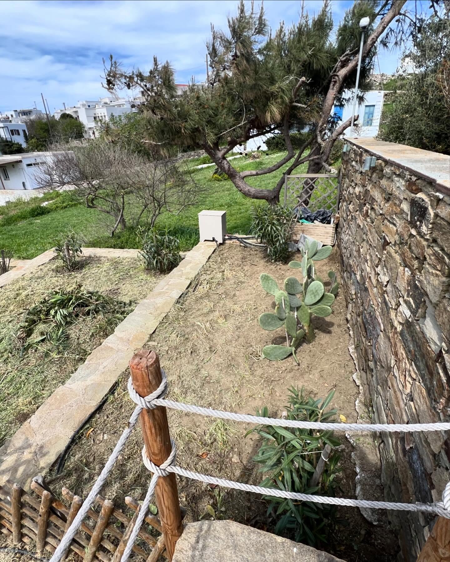 Καταπράσινος Διάδρομος με Λεβάντα