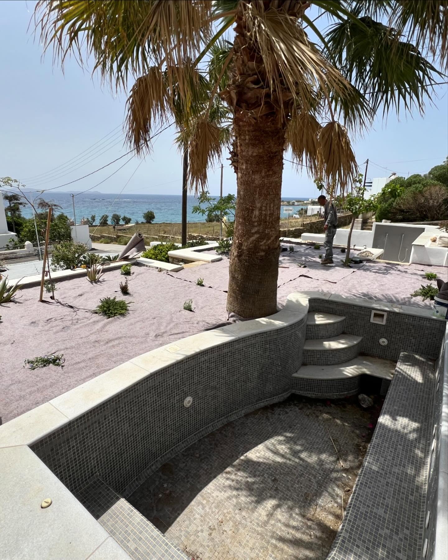 Καταπράσινος Διάδρομος με Λεβάντα