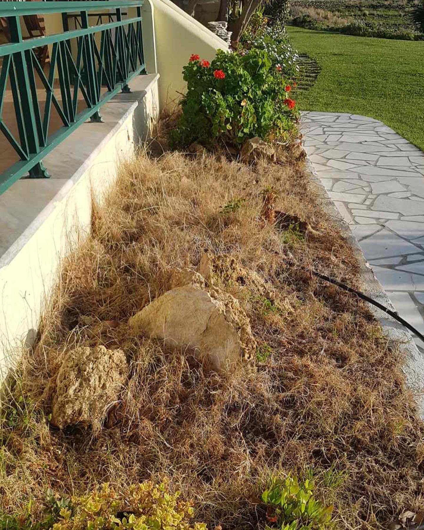 Παρτέρια Ανθοφορίας σε Παραθαλάσσια Κατοικία